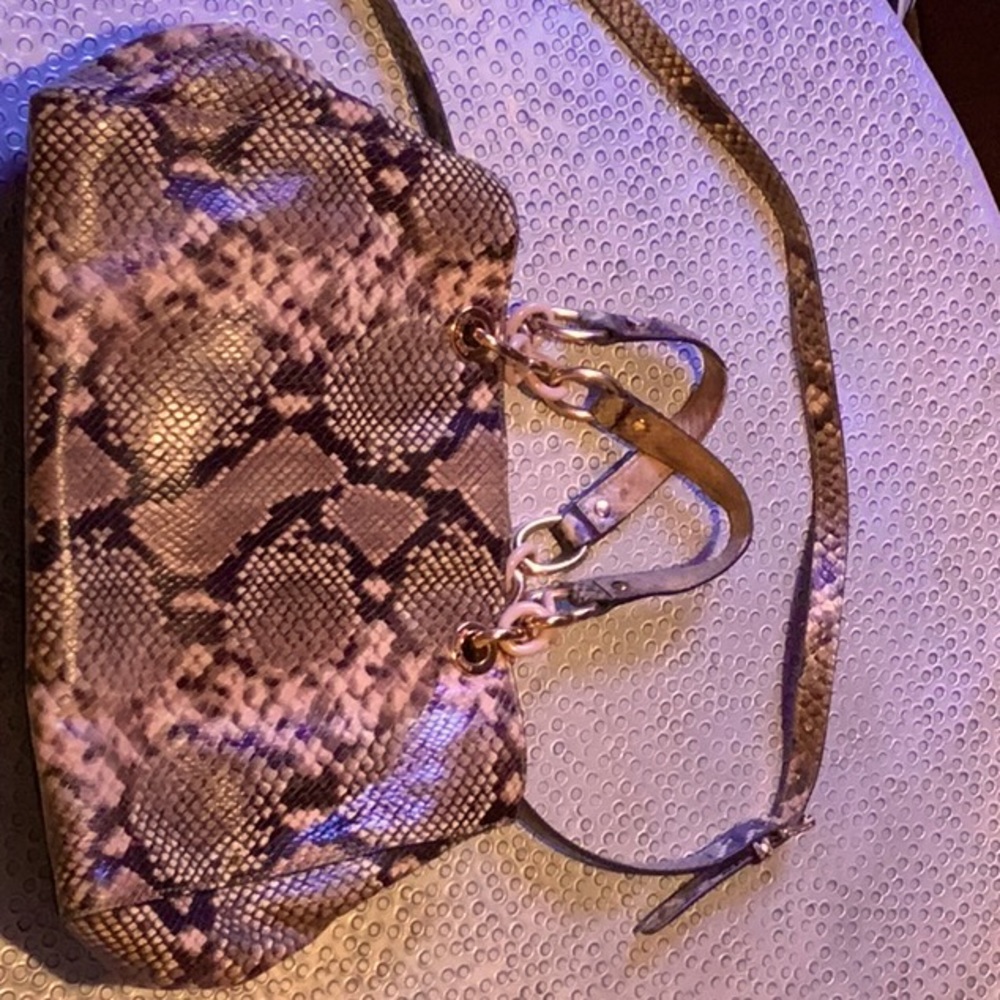 Michael Kors Snakeskin Crossbody Bag